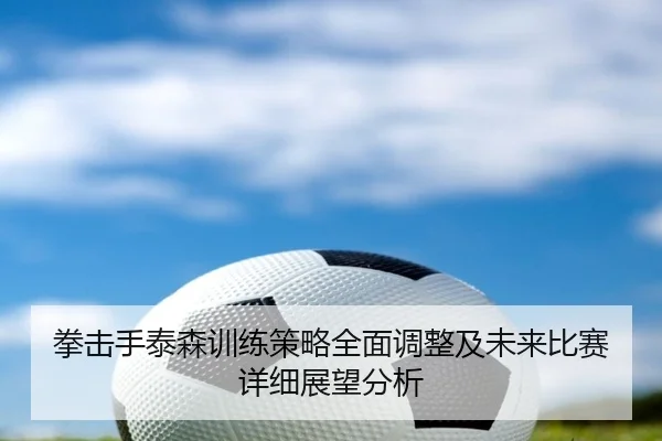 拳击手泰森训练策略全面调整及未来比赛详细展望分析